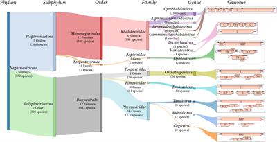 The Plant Negative-Sense RNA Virosphere: Virus Discovery Through New Eyes